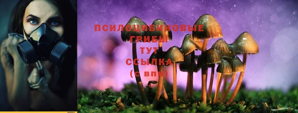 дурь Михайлов