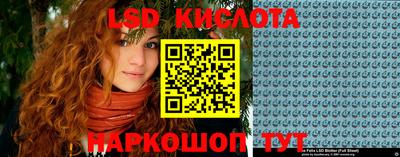 шишки Будённовск