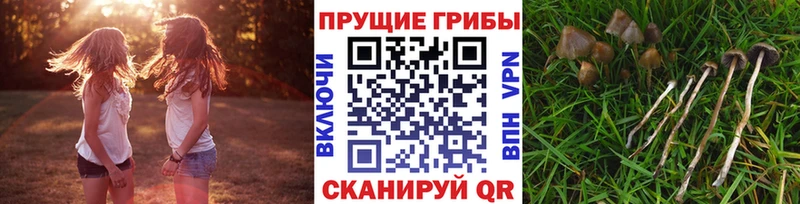 Псилоцибиновые грибы MAGIC MUSHROOMS  что такое   Карпинск 