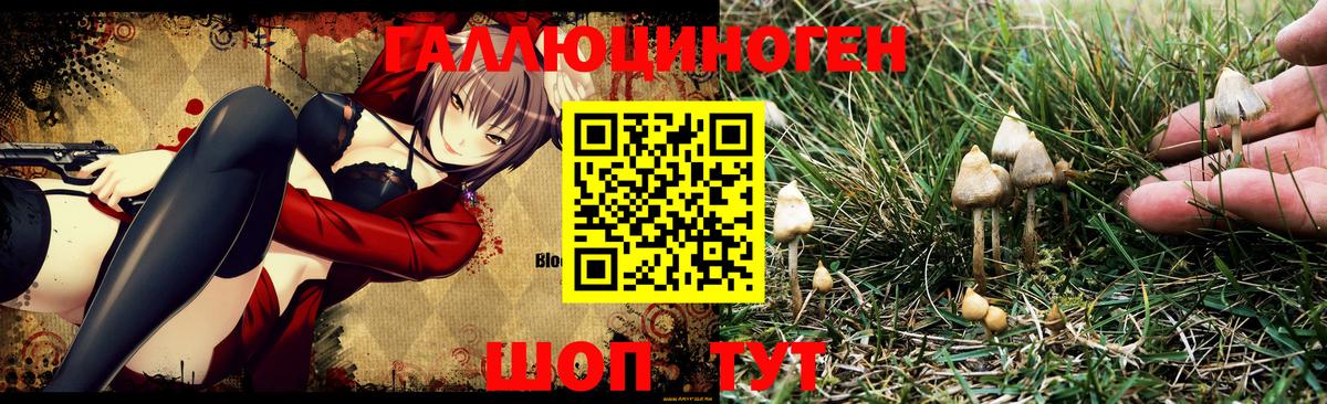 Галлюциногенные грибы MAGIC MUSHROOMS Карпинск